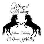 The Magical Academy