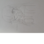 もしゅまろの部屋