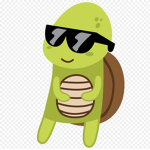 #CoolTurtles