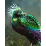 Team Mystical Bird
