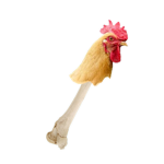 Chickenbone100