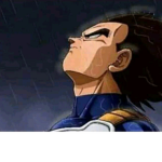 Royale followers