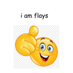 flays corp