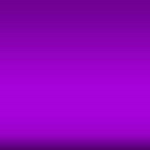 - .Violet Studios. -