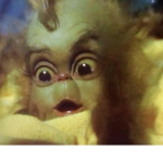 Baby Grinch Fan Club