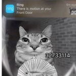Devious Noobs