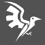 Bluebird Interactive