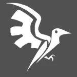Bluebird Interactive Group Thumbnail