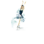 Officialiceskater fan group