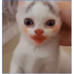 XxBlossom_PixiexX