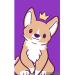 Corgis club