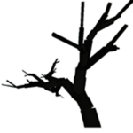 Sinisters_Studios