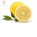 lemon club of fun