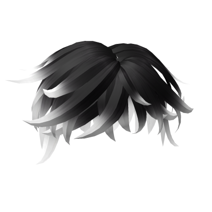 💯 Black White Hair Roblox item