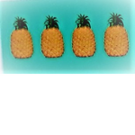 pinapplesquad
