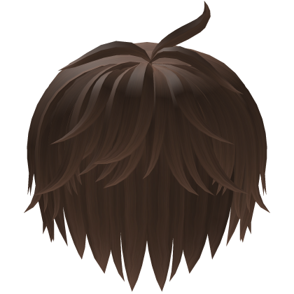 Brown Messy Curly Hair 2.0 Roblox item