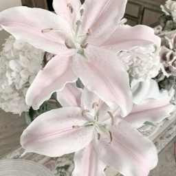 🌸