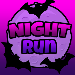 Night Run