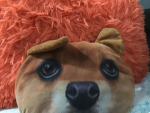 Dogo republic executive branch