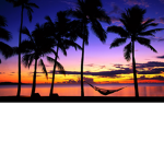 Tropical Fam