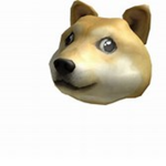 Doges Appreciation Group!