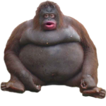 Monke bois army