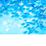 Céu #######