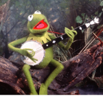 Frog APPRECIATION!