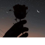 ~monni x roses~