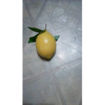 Lemons are better apples