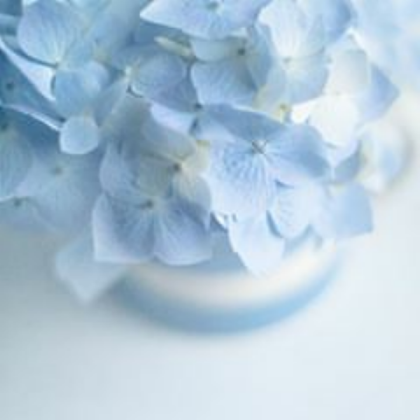 Pastel Blue Flowers 2 Roblox decal