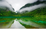 Smile green
