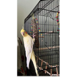 Bird’ paradise