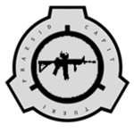Rapid Response Teamᅠᅠ