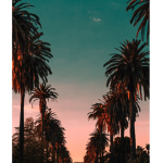 sunset times