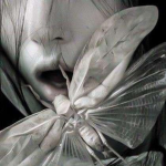 soulmoths