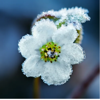 Ultimate Super Awesome Court