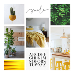 livi group
