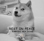 rest in peace doge 2005 2024