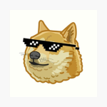the doge crib