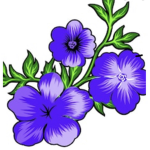 Violet flower
