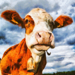moo military