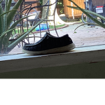 The shoe community