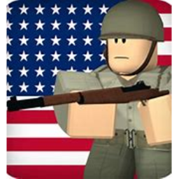 the usa military