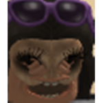 BoomPlayzRoblox Army