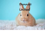Bunnies Unites