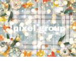 *Pixel Group*