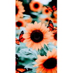 Bestie sunflowers
