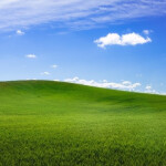 Sample Gameヾ(•ω•`)o