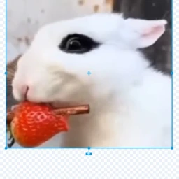 jogo para jogar quando estiver com tedio icon